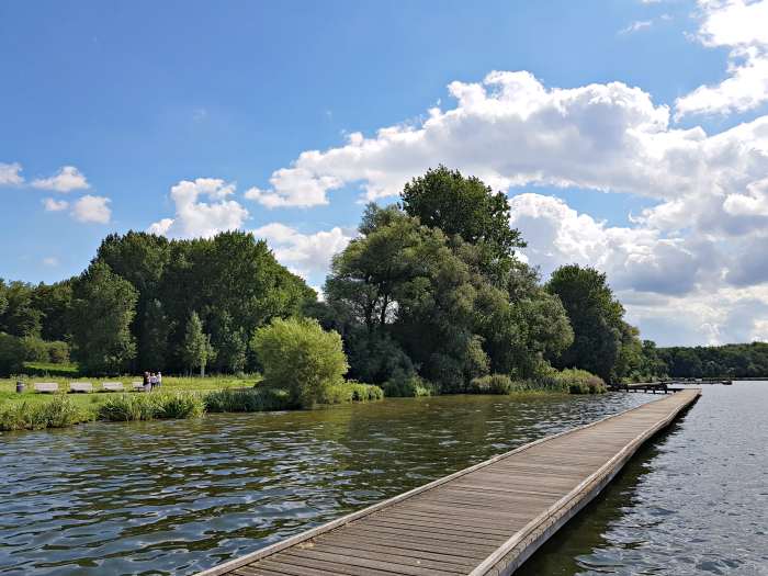 Kralingse Bos en andere leuke parken in Rotterdam 4