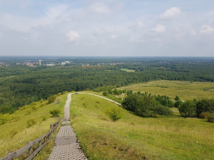 terril beringen
