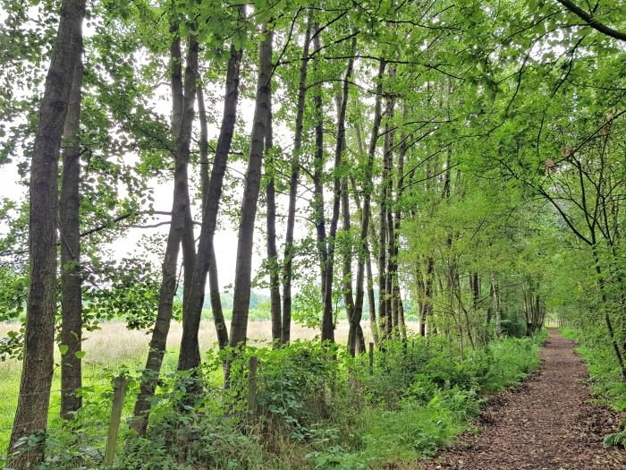 vallei van de zwarte beek
