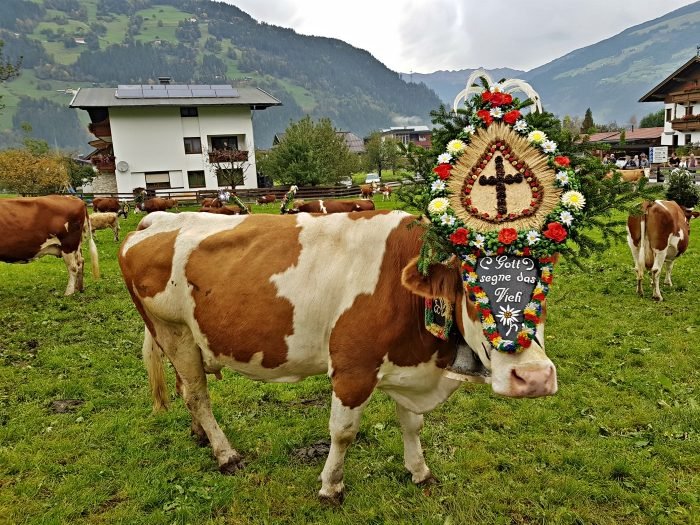 almabtrieb festival