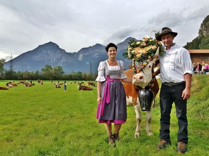 almabtrieb gerlos zillertal