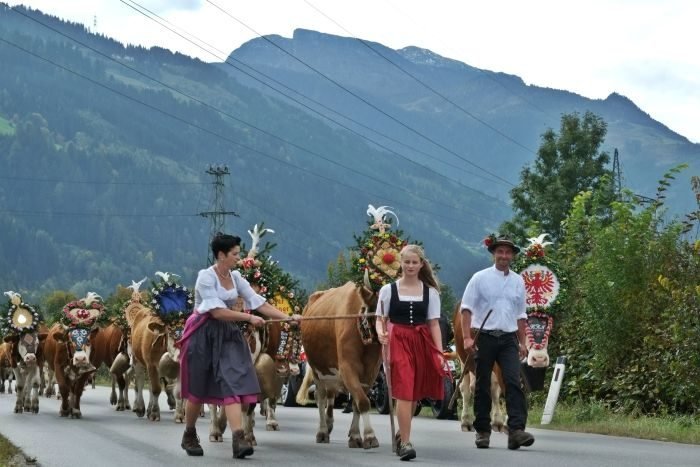 almabtrieb processions