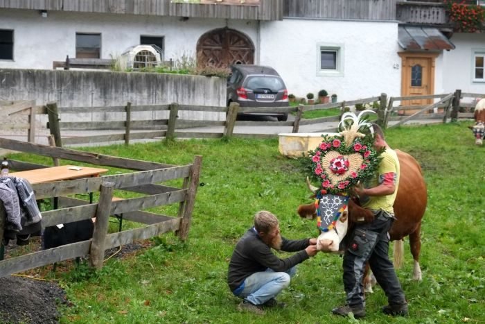 almabtrieb tirol