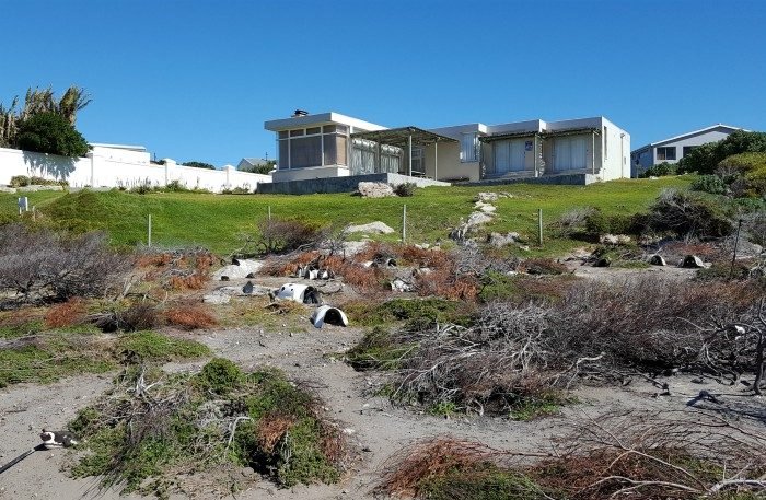 bettys bay penguin nature reserve
