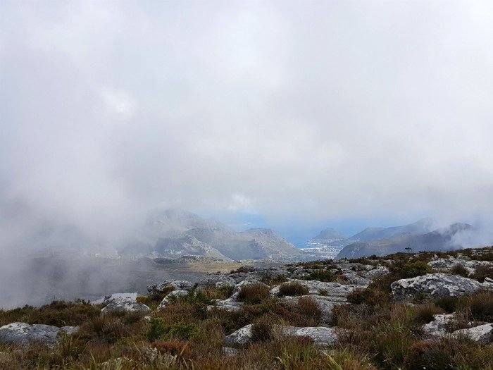 hiking table top mountain cape town