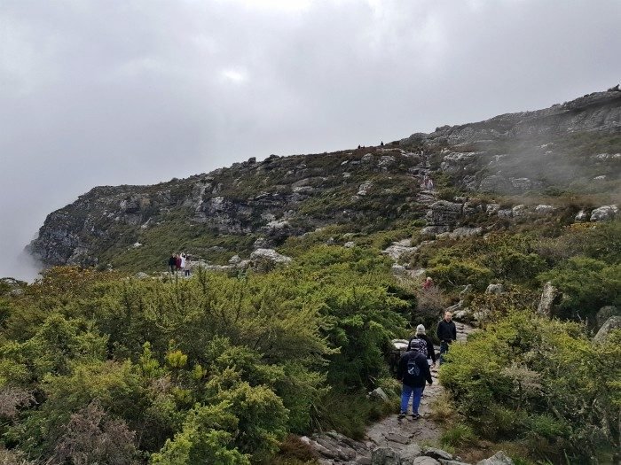 table top mountain south africa