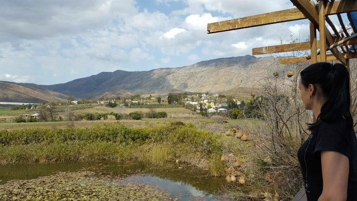 garden route South Africa itinerary