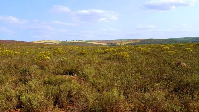 road trip to South Africa