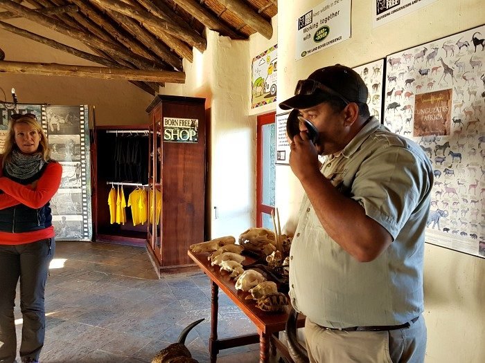 born free shamwari