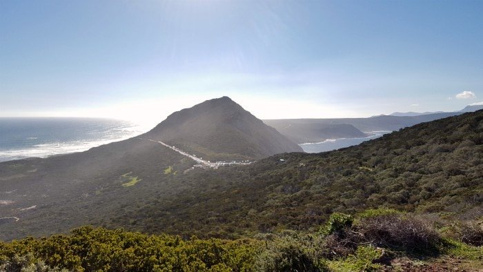 Cape Town to Cape of Good Hope: How to Do It 5