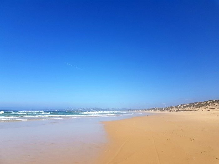 garden route scenery South Africa
