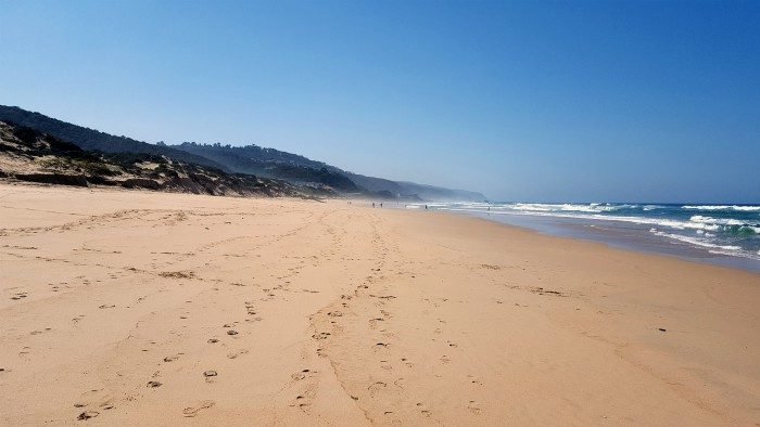 garden route trip from cape town south africa