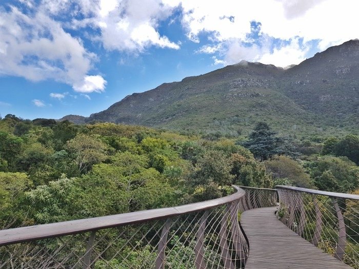 kaapstad reizen