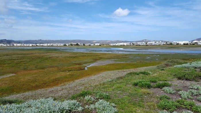 knysna info
