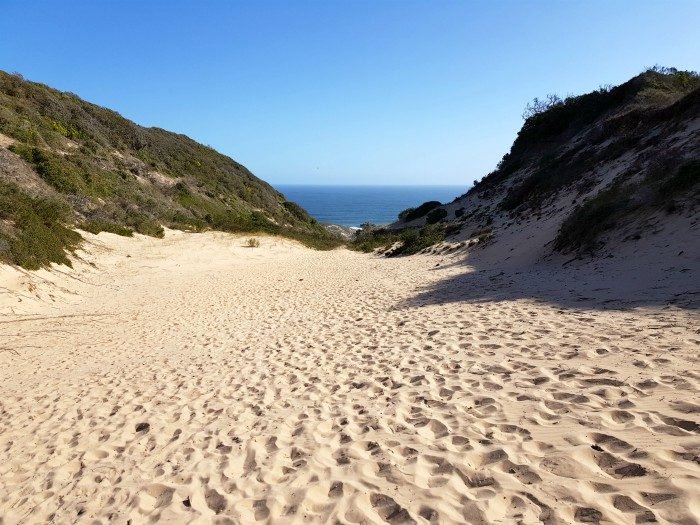 robberg nature and marine reserve