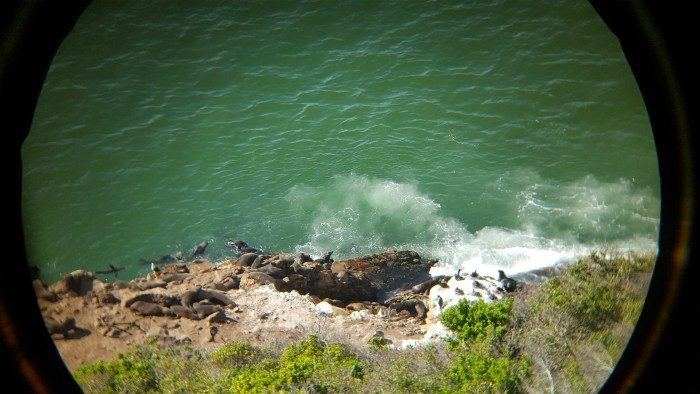robberg nature reserve south africa