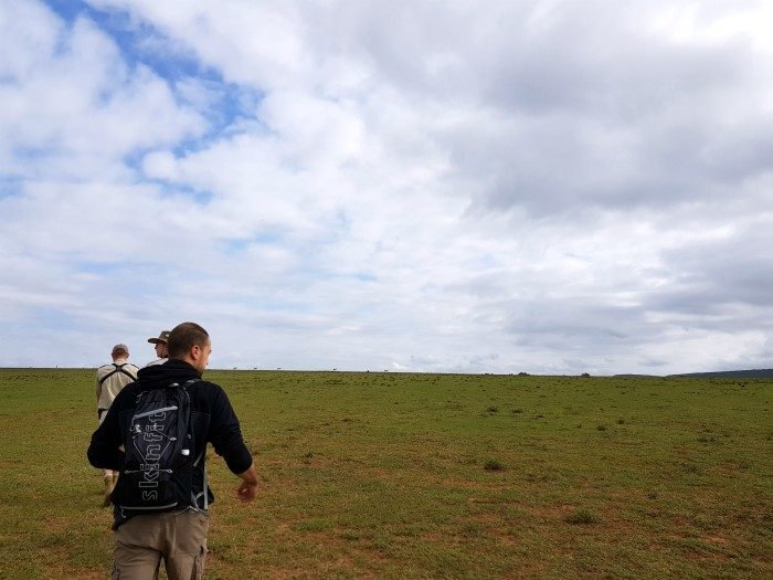 shamwari game reserve safari wandeling