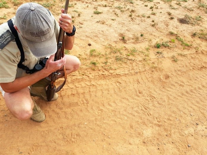 shamwari game reserve bush walk