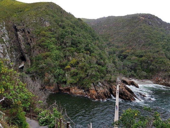 what to do in Tsitsikamma national park