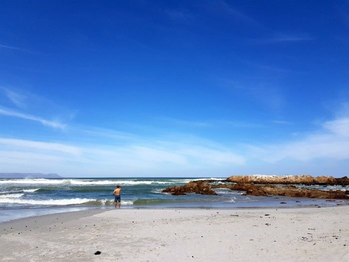 what to see in hermanus