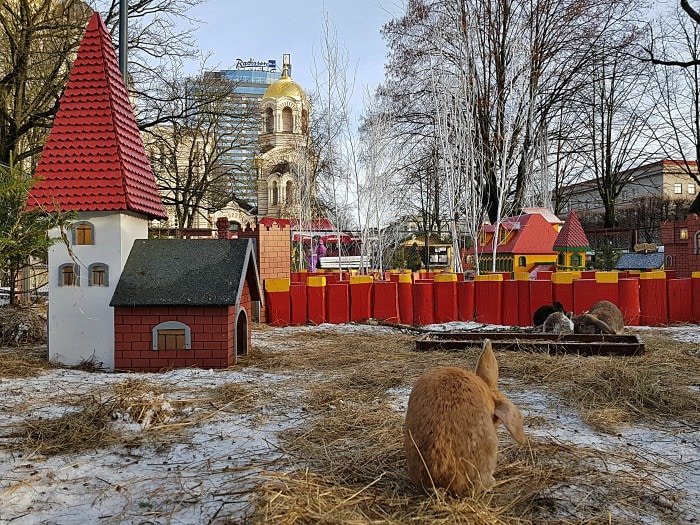 Riga Christmas Market 2023-2024:🎅 Dates, Location, Attraction 2