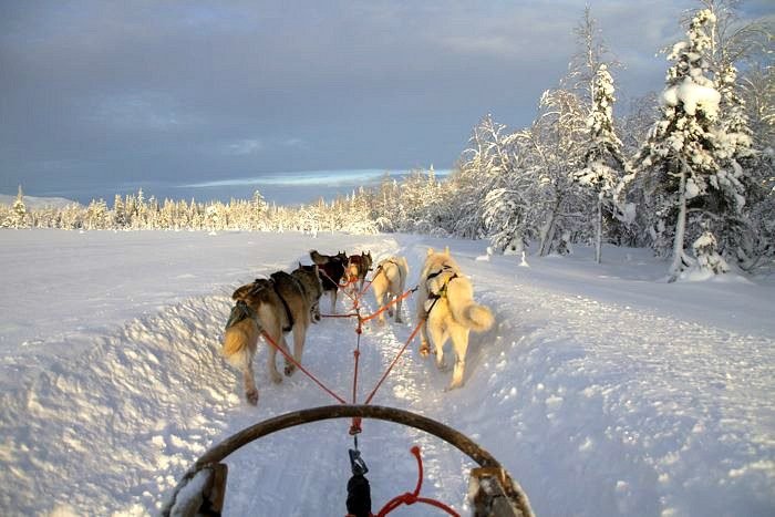 weird facts about finland