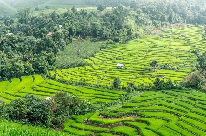 thai culture facts