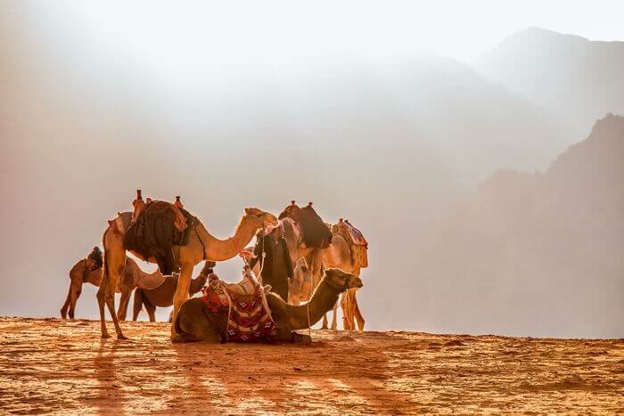 37 interesting facts about Jordan (the country :-)) 43