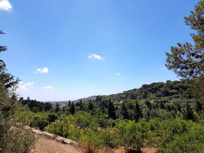 buskett gardens malta