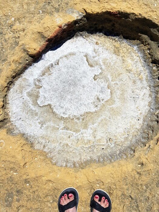 openbaar vervoer malta openbaar vervoer