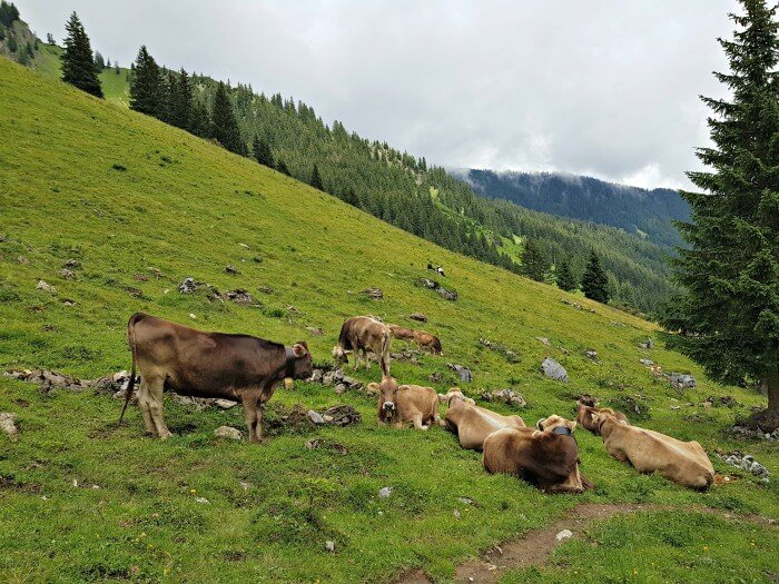 oostenrijk vorarlberg zomer