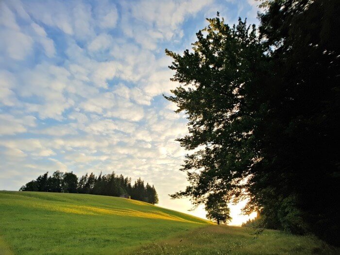 booking bregenzerwald