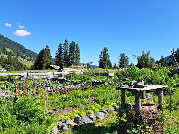 vorarlberg toerisme
