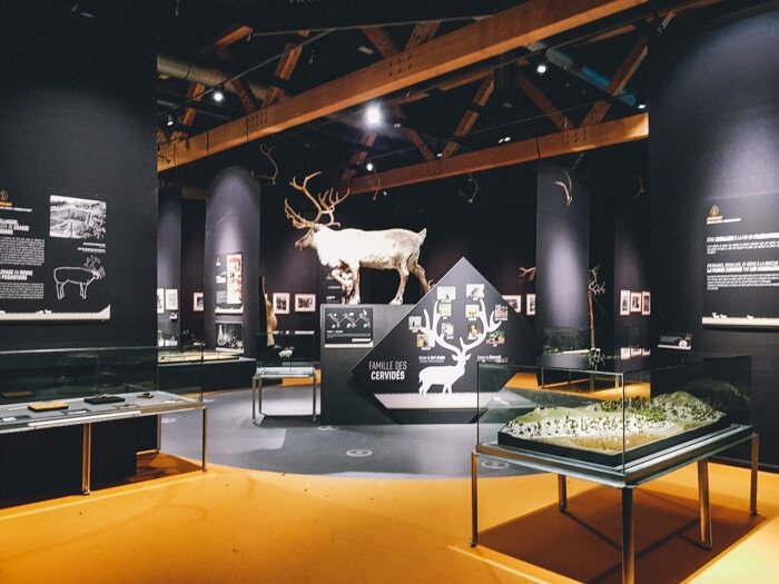 flemalle museum