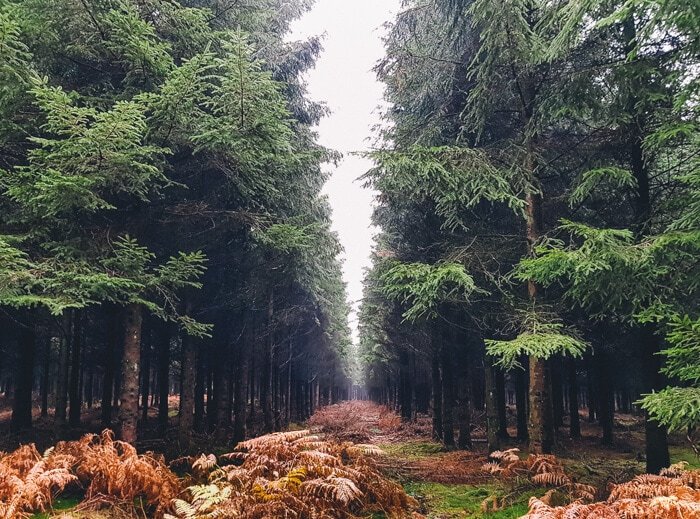 wandeling pierre noufy