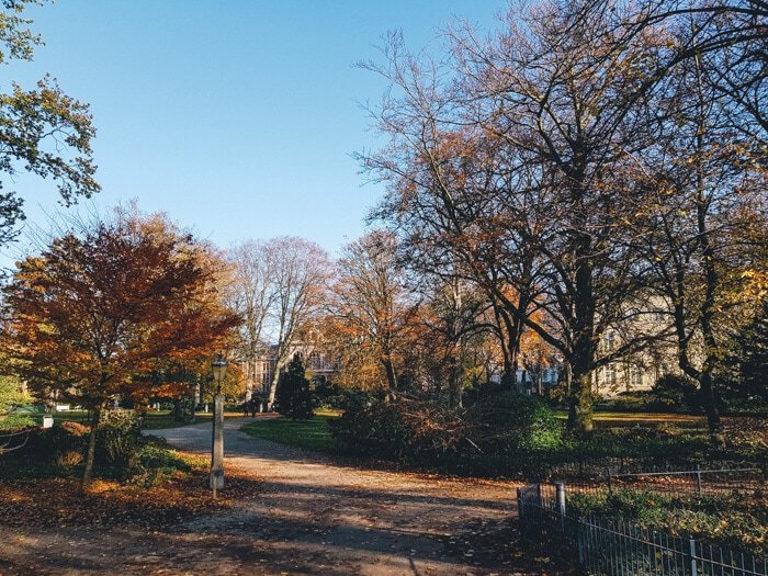 leuke activiteiten den haag