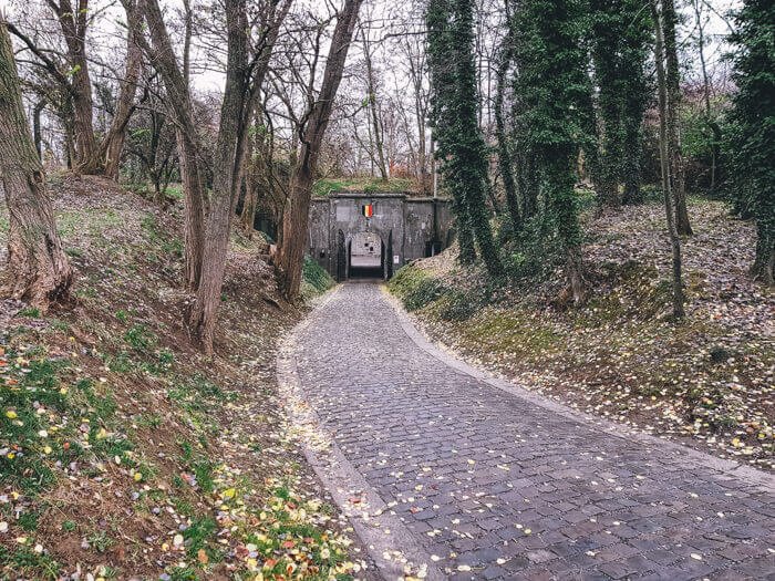 belgium ww1