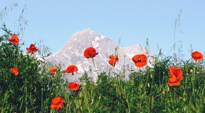 best italy vacations