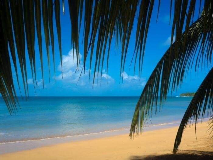 caribbean facts