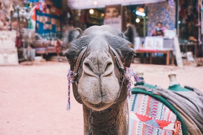 jordan sites to visit