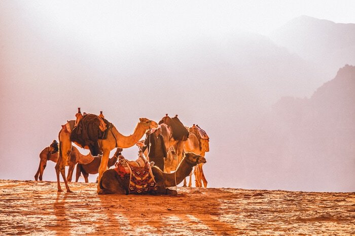 jordan travel guide