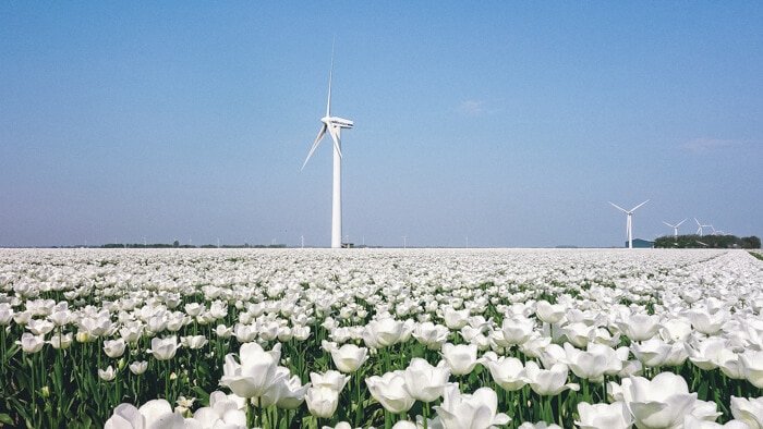 netherlands vacation