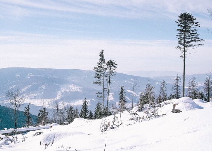 vliegen polen