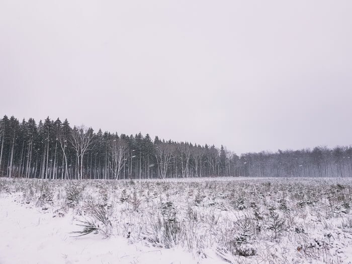 travel around the ardennes