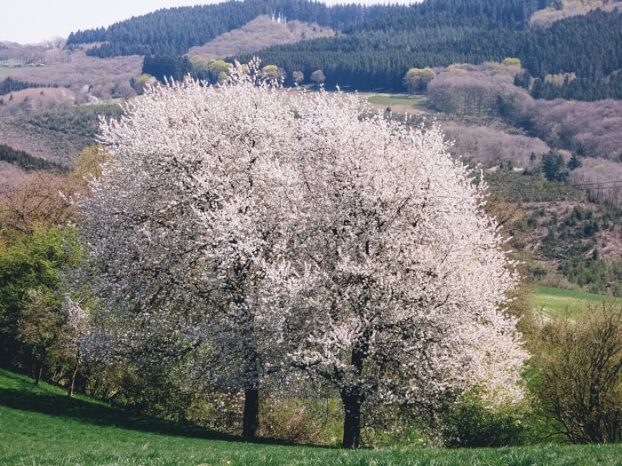 best places to visit in luxembourg country