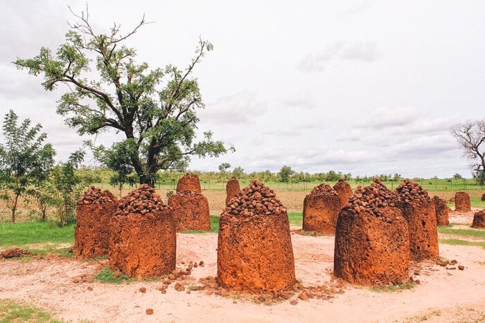 gambia trips