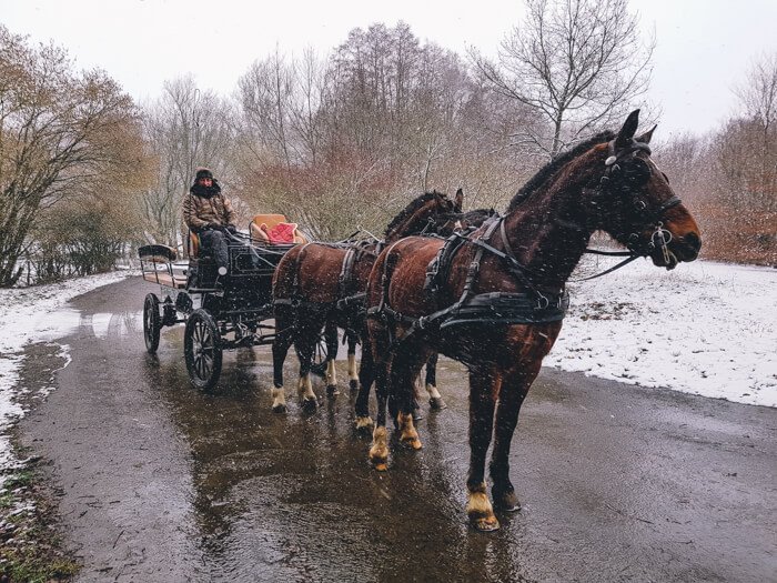 mooiste plekjes in de ardennen