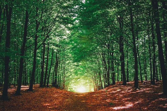 sweden must see