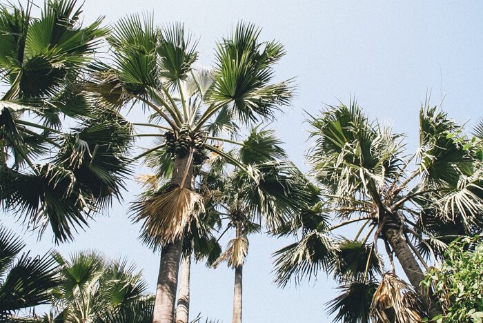 the gambia vacation