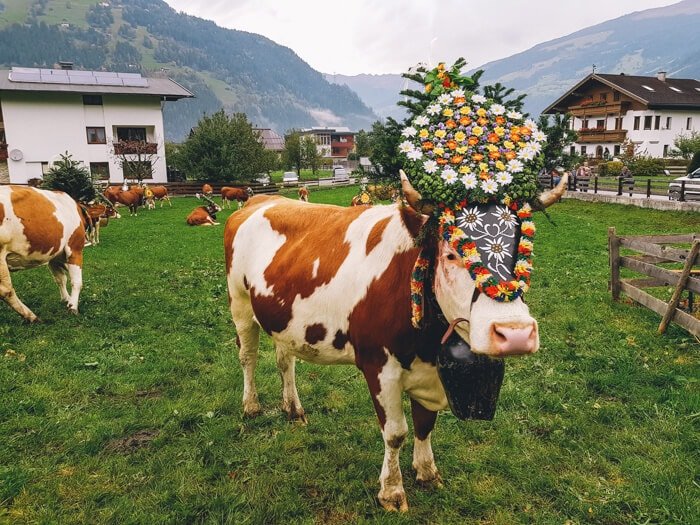 what to see in austria